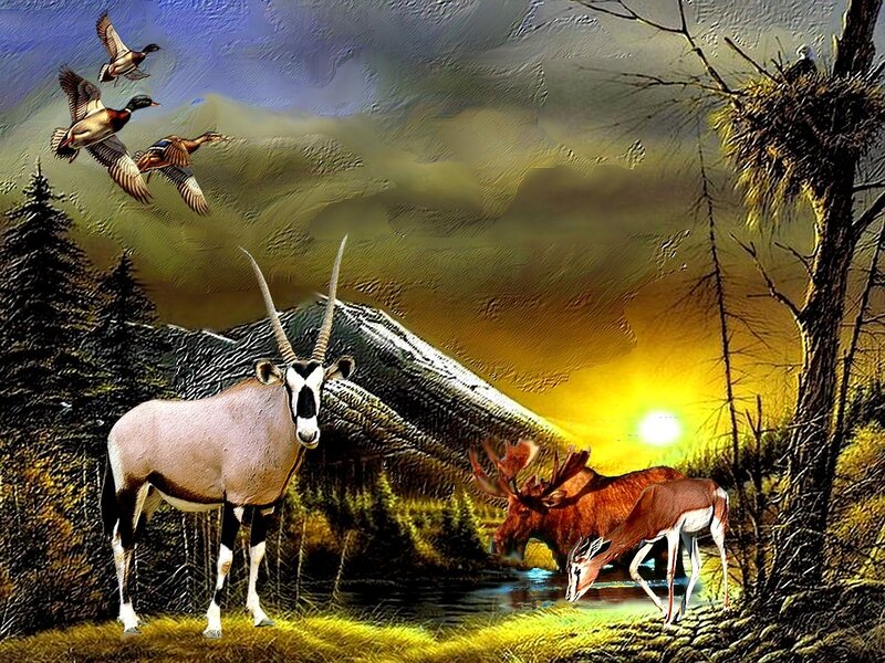Antelope with Long Horns