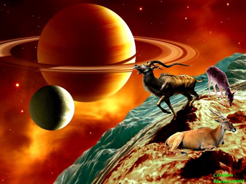 Antelopes on Alien Planet