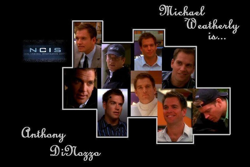 Anthony DiNozzo collage