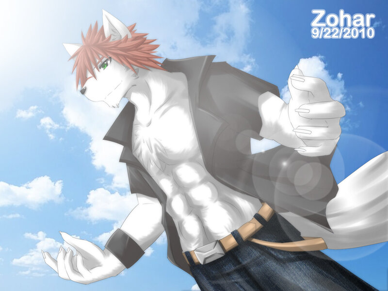 anthro wolf character art