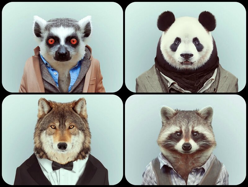 Anthropomorphic Animals in Suits