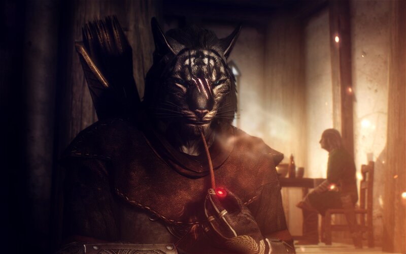 Anthropomorphic Cat Archer