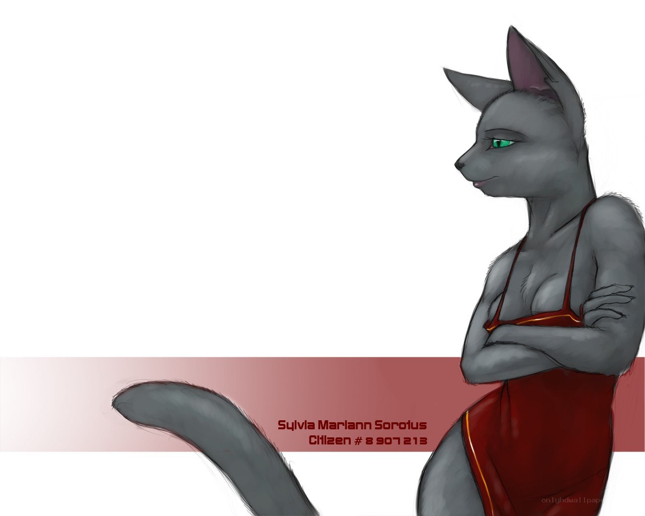 anthropomorphic cat character