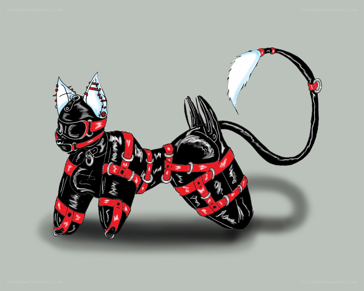 anthropomorphic cat in harness