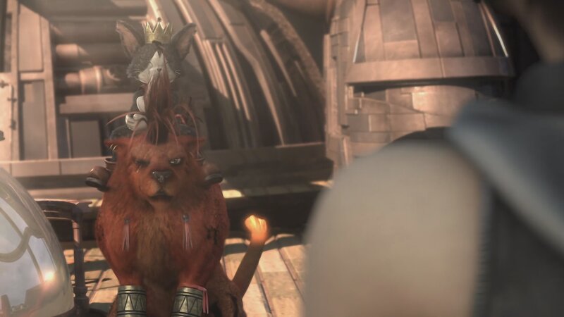 anthropomorphic cat king
