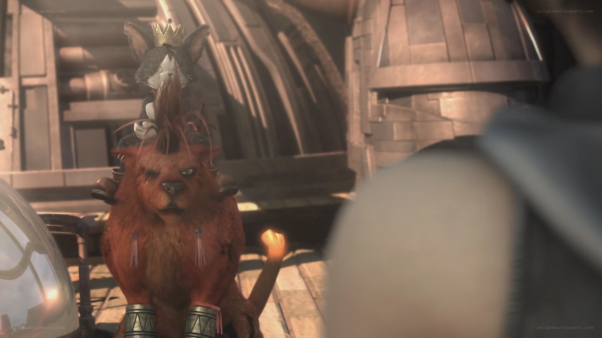 anthropomorphic cat king
