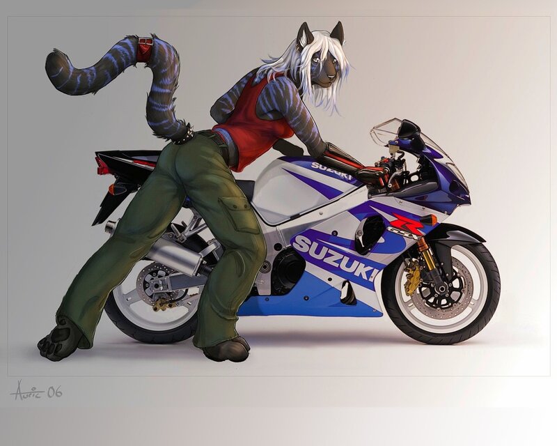 anthropomorphic cat on motorcycle