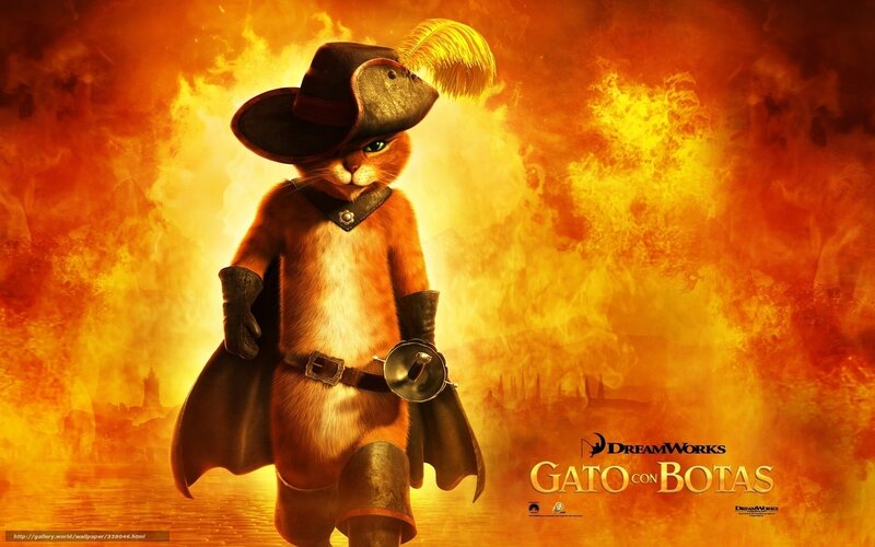 Anthropomorphic Cat — Orange