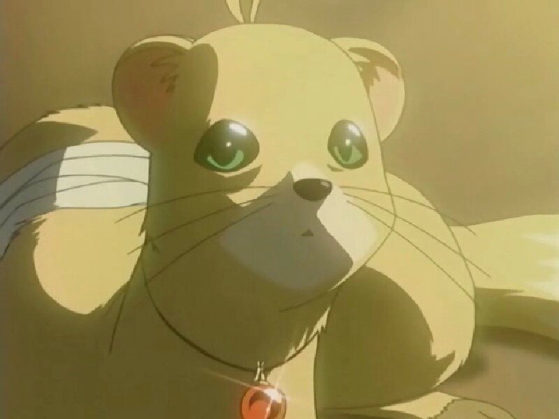 Anthropomorphic Cat