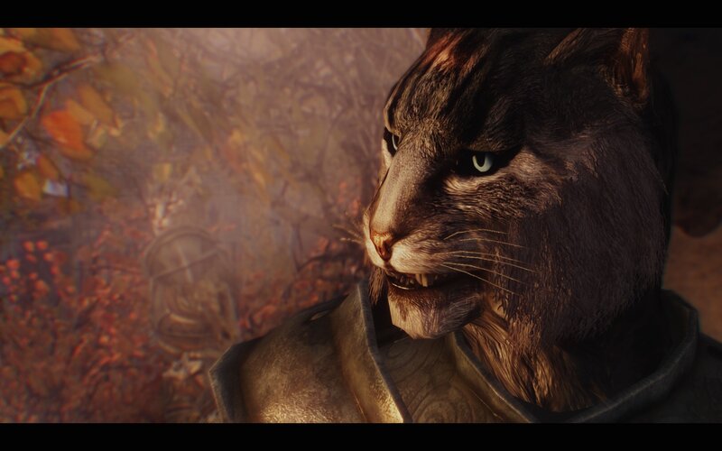 anthropomorphic cat warrior