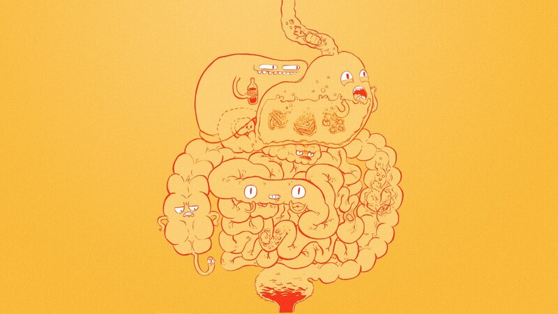 anthropomorphic digestive system