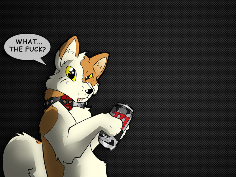 anthropomorphic dog with energy drink