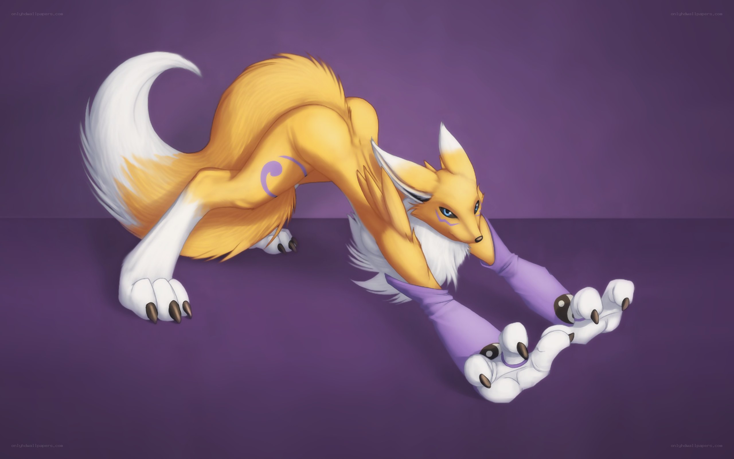 anthropomorphic fox character