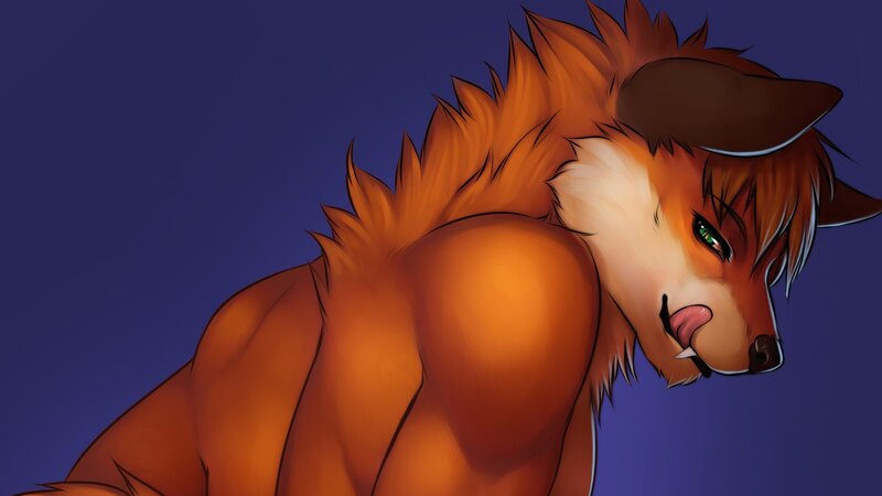 anthropomorphic fox character