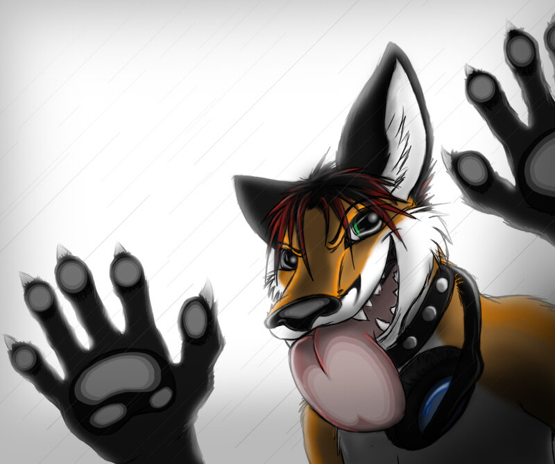 anthropomorphic fox character