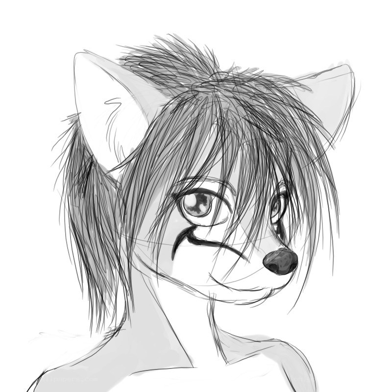 anthropomorphic fox sketch