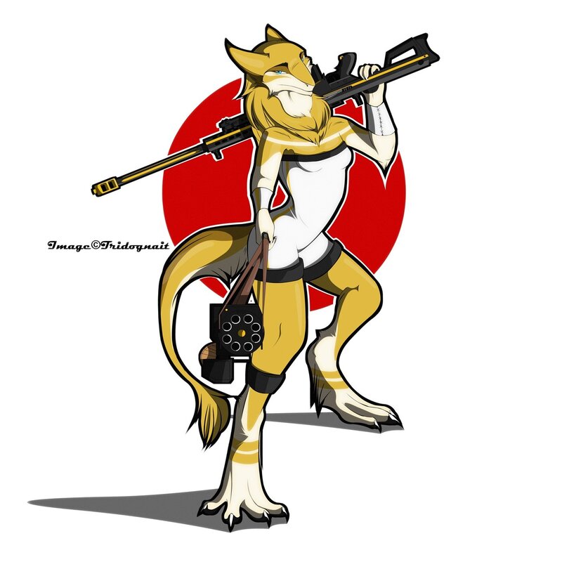 anthropomorphic fox soldier