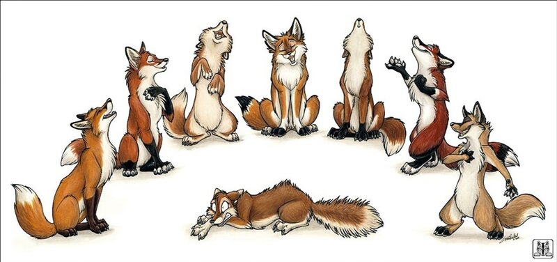 Anthropomorphic Foxes