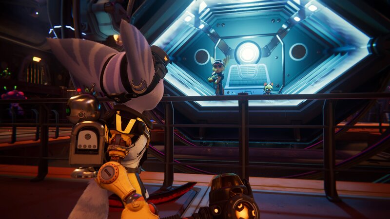 Anthropomorphic Rabbit in Cockpit