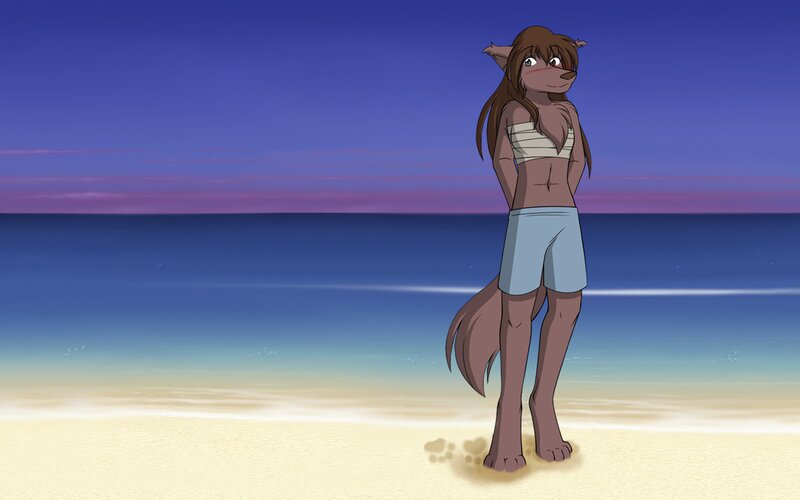 Anthropomorphic Wolf on Beach