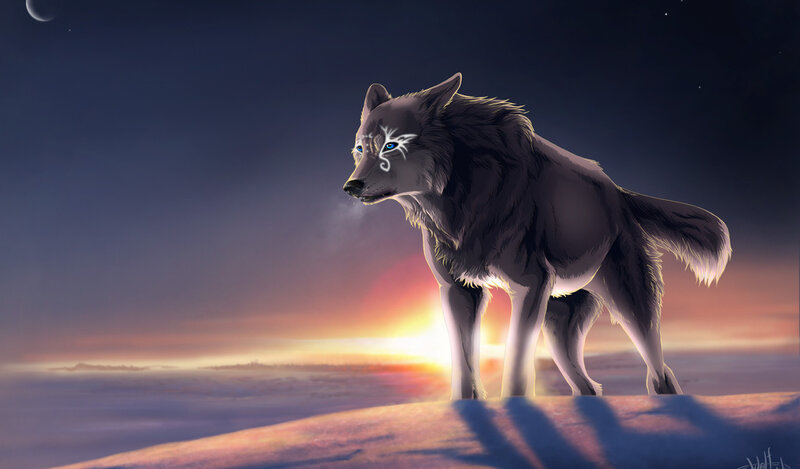 Anthropomorphic Wolf — Purple, Dramatic