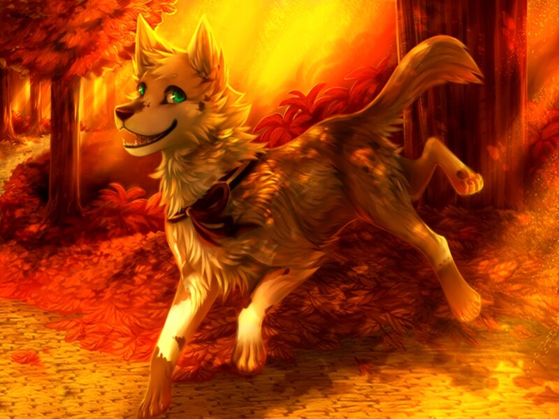 Anthropomorphic Wolf Running