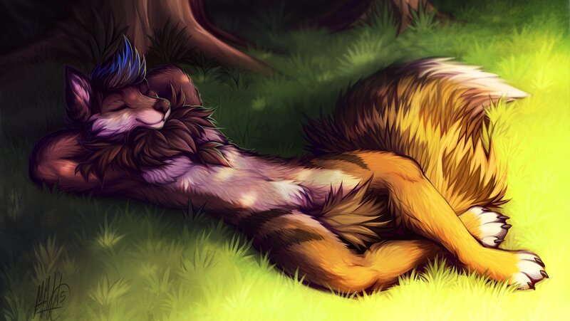Anthropomorphic Wolf Sleeping
