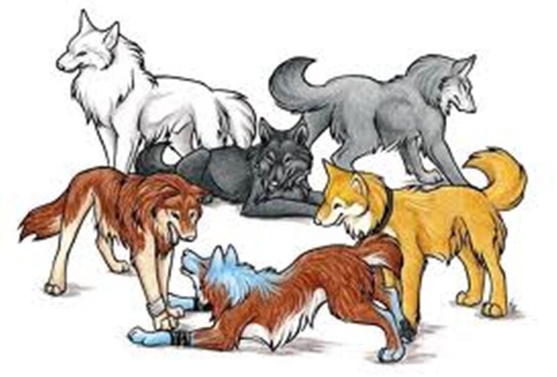 Anthropomorphic Wolves