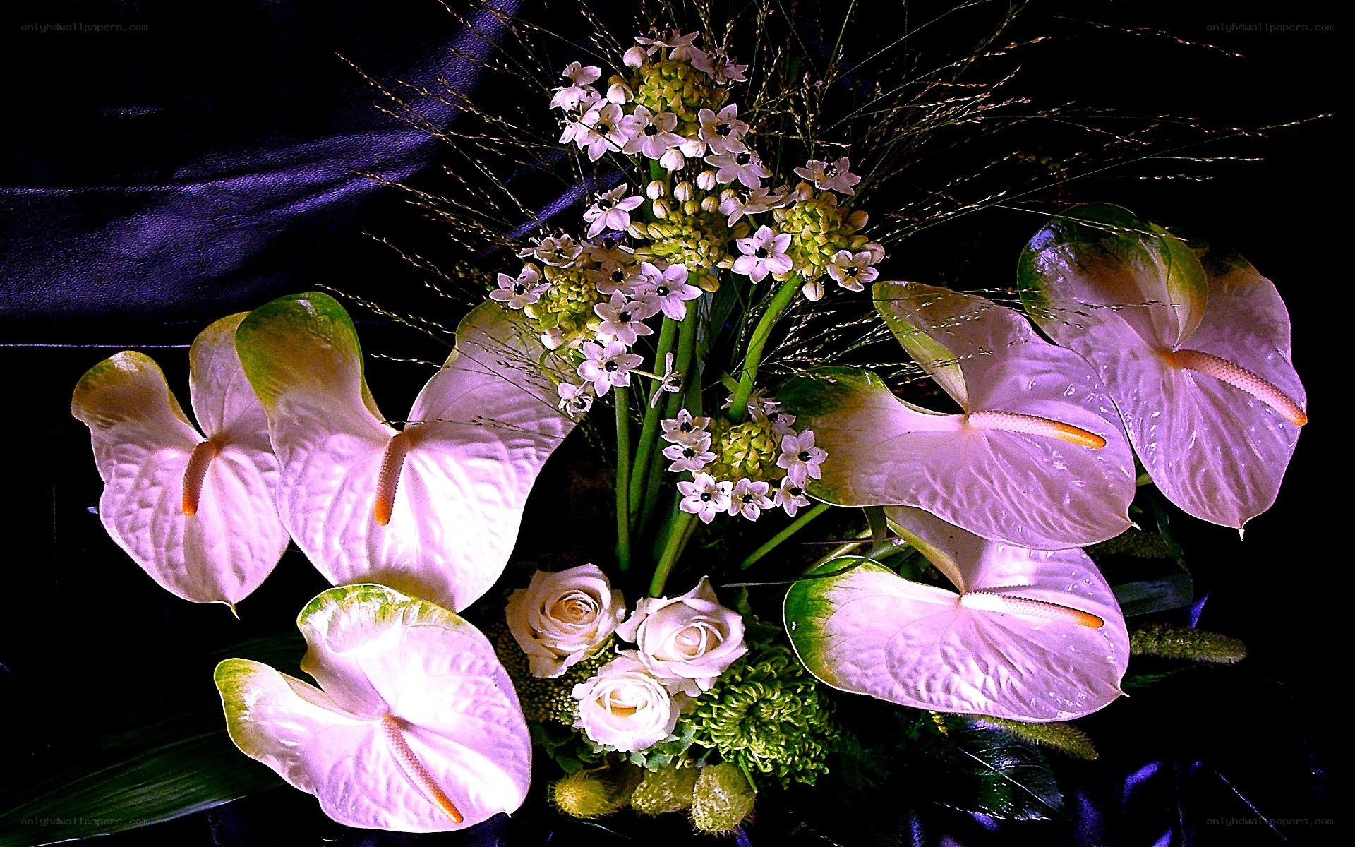 Anthurium and rose bouquet
