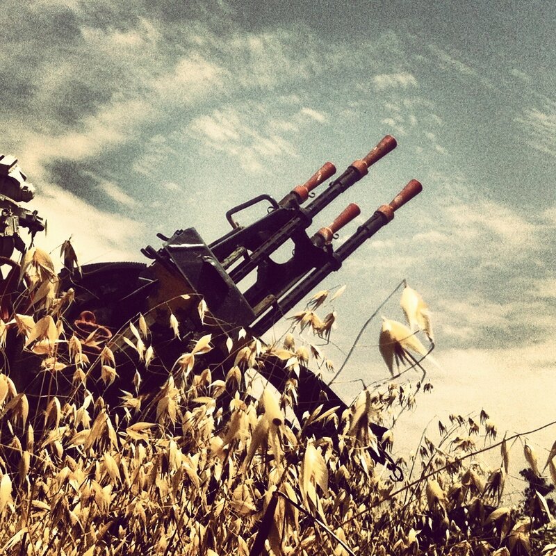Anti-aircraft Gun in Field — Brown