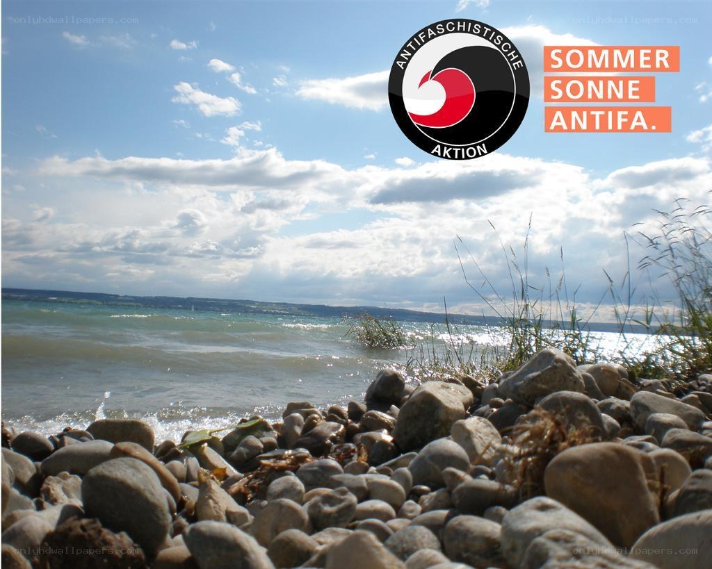 Antifascist action summer campaign