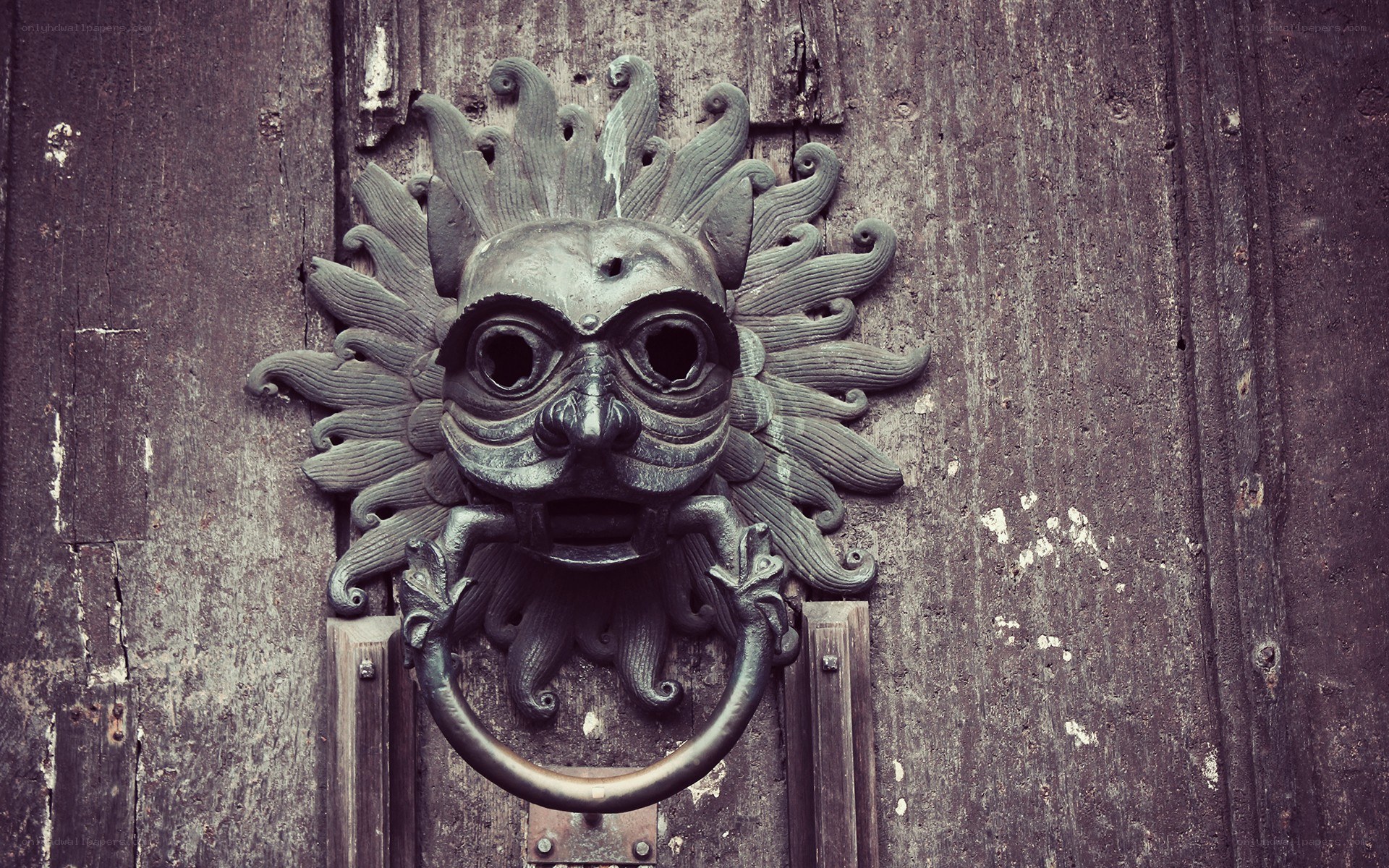 antique door knocker