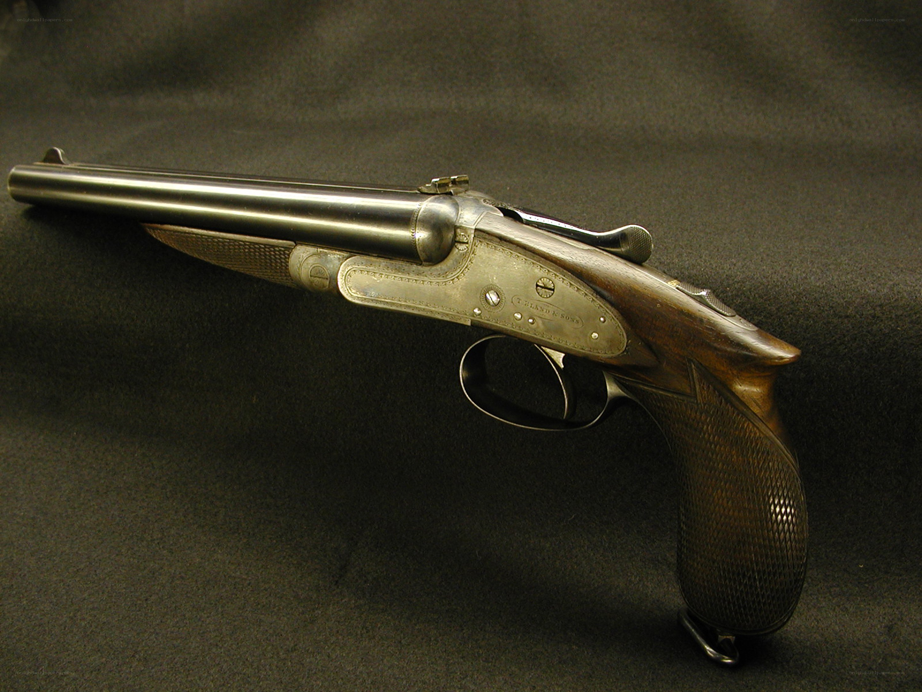 Antique double-barreled shotgun