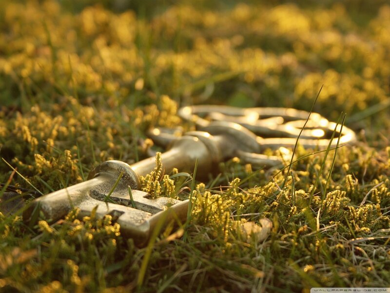 Antique Key in Grass — Green
