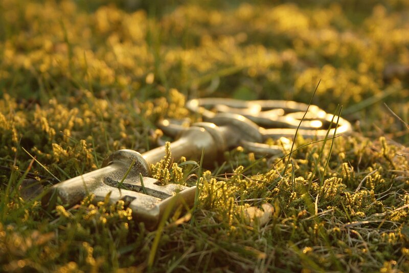 antique key in grass