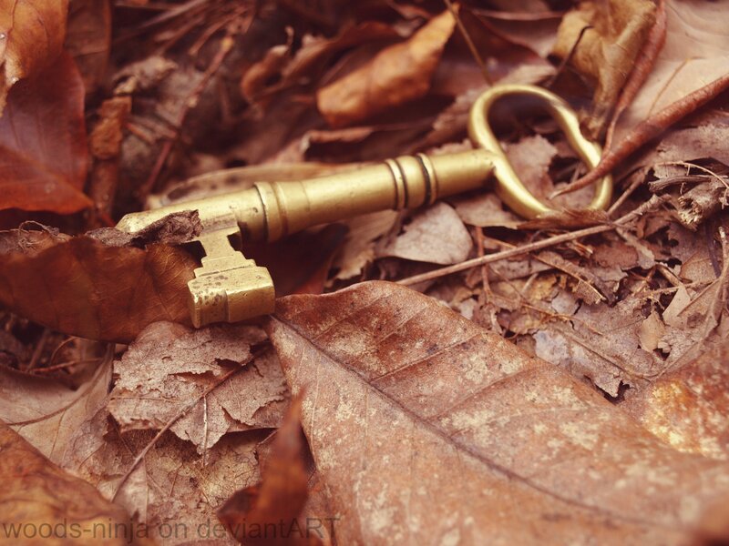 Antique Key in Leaves