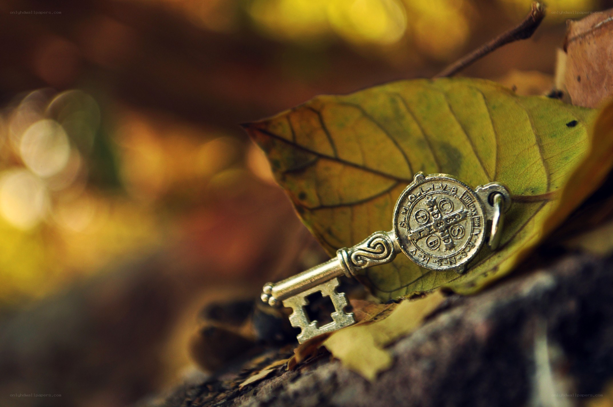 antique key on autumn leaf