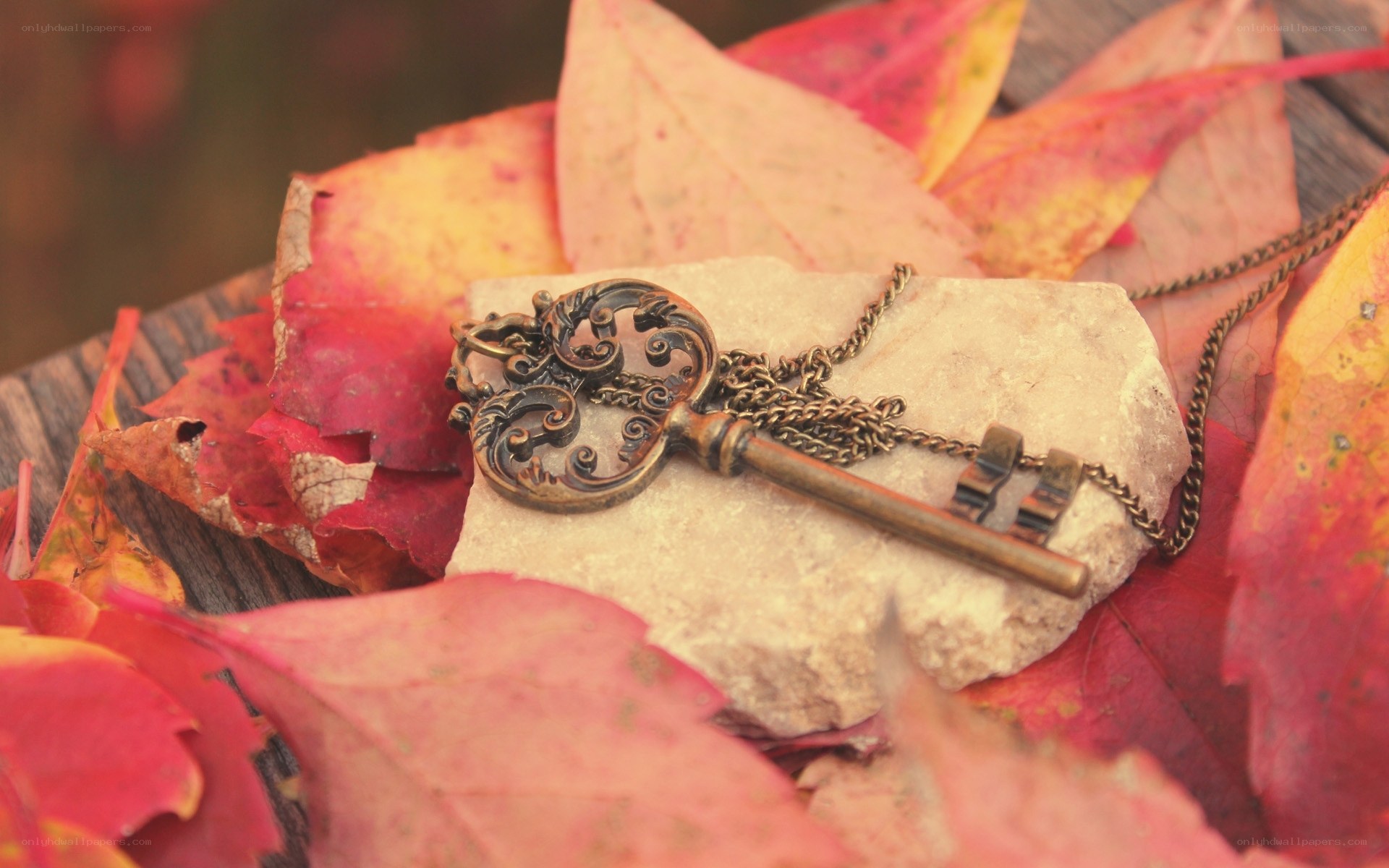 antique key on autumn leaves
