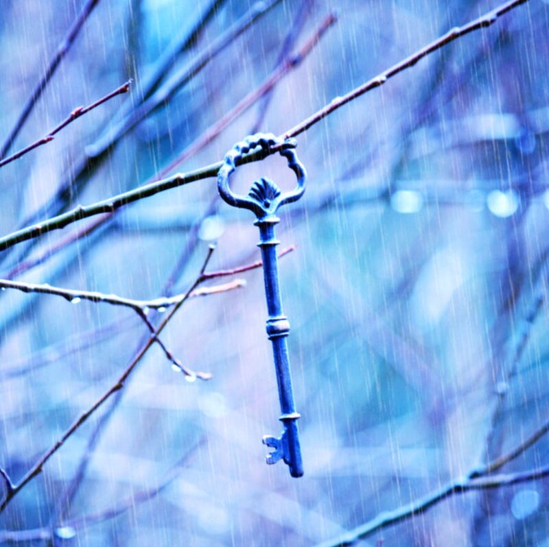 Antique Key on Branch