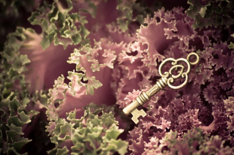Antique Key on Kale