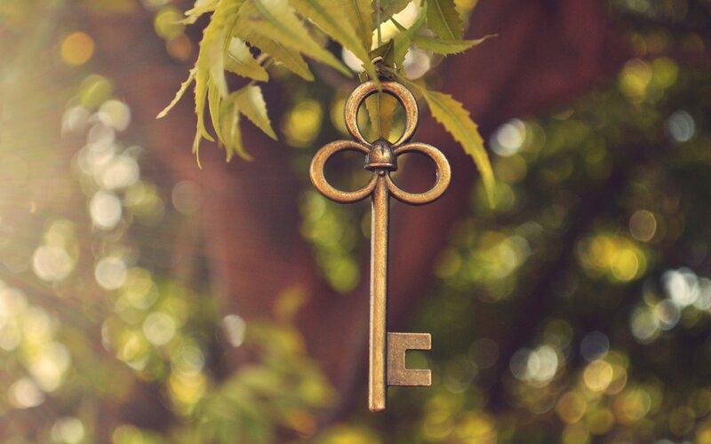 antique key on leaf branch