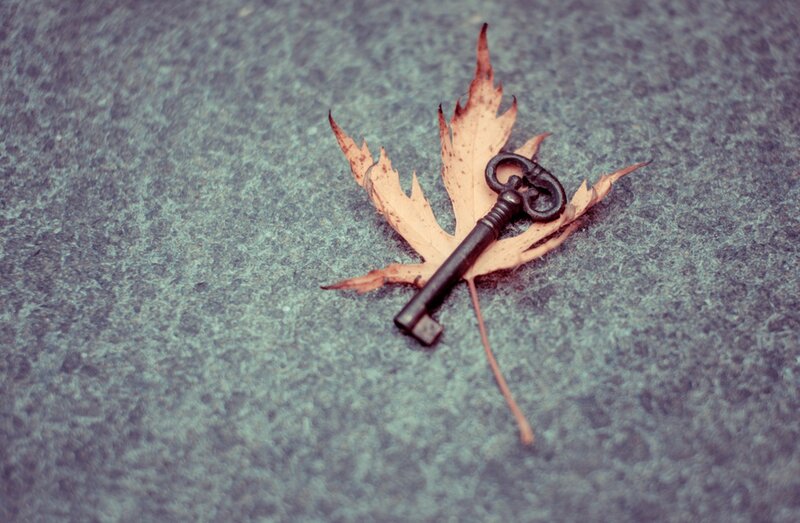 Antique Key on Leaf — Brown