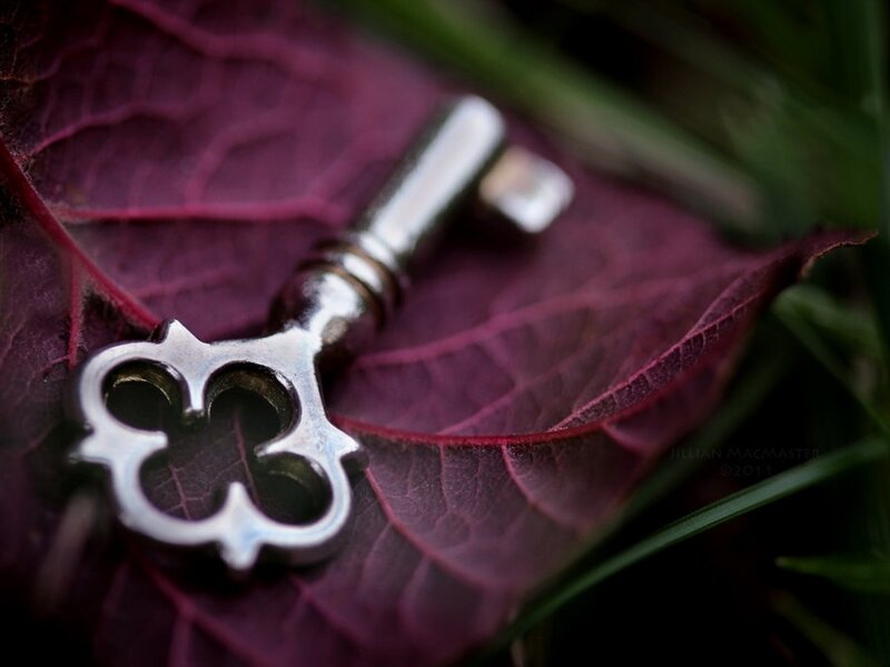 Antique Key on Leaf