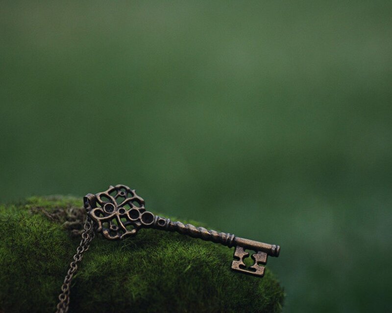 antique key on moss