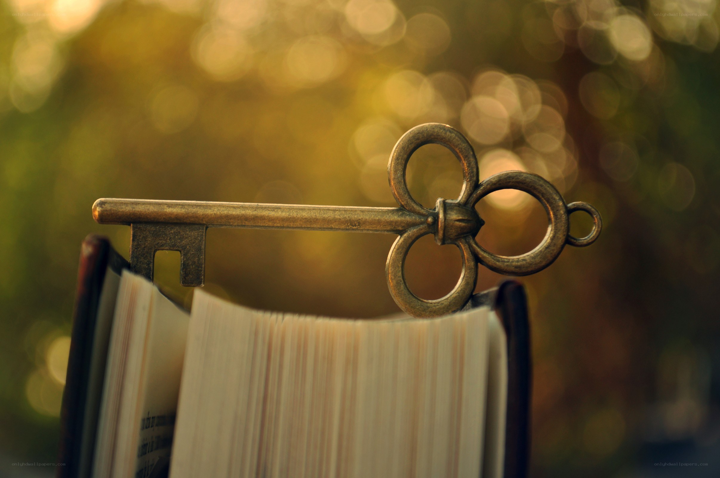 antique key on open book
