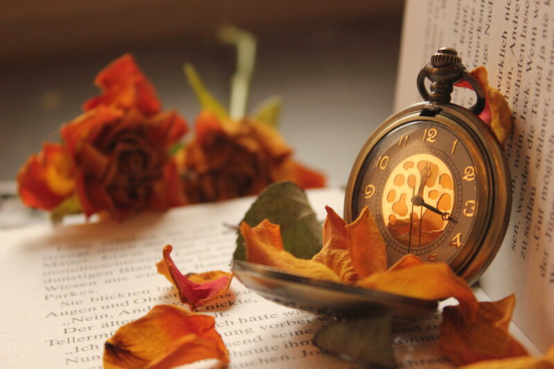 Antique Pocket Watch — Brown, Nostalgic, Autumn