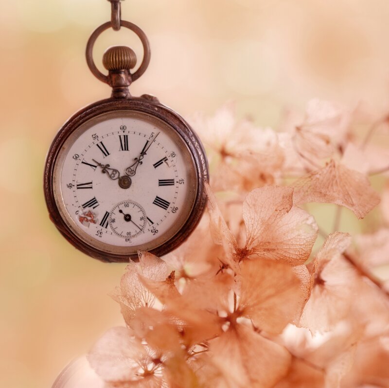 Antique Pocket Watch — Brown, Serene, Photograph