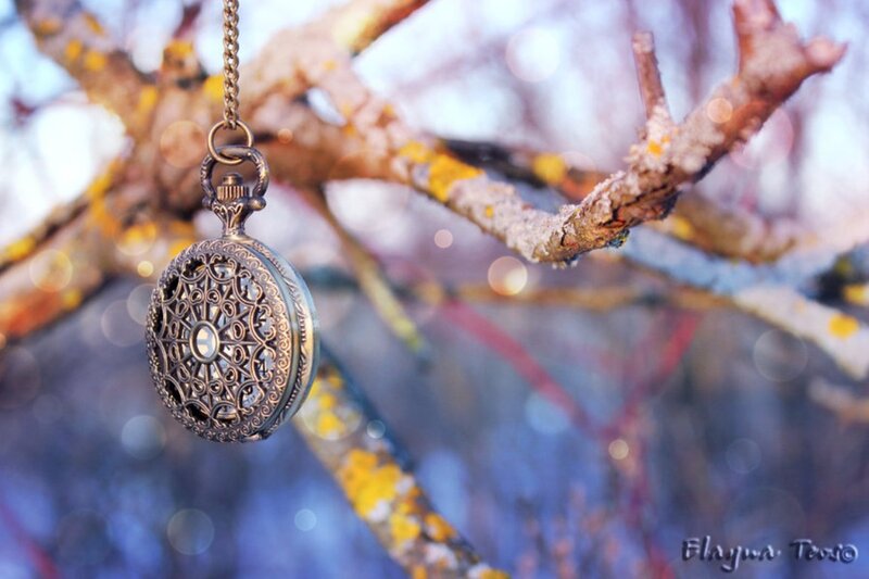 Antique Pocket Watch — Brown, Serene, Winter