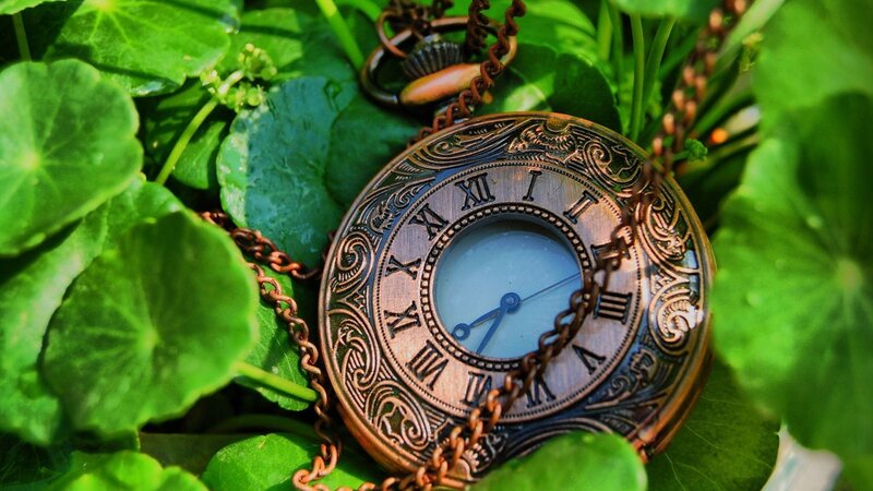 Antique Pocket Watch — Green, Serene, Afternoon, Photograph, Chain