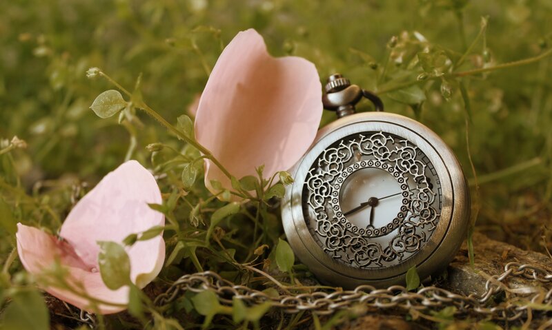 Antique Pocket Watch — Green, Serene, Afternoon, Photograph